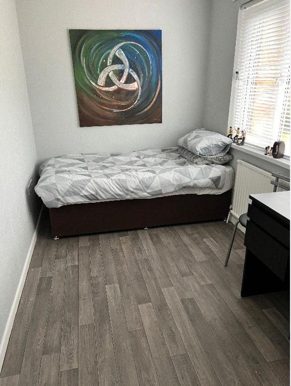 Macs Belfast Single Bedroom المظهر الخارجي الصورة