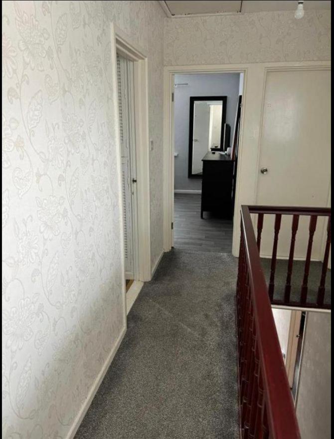Macs Belfast Single Bedroom المظهر الخارجي الصورة